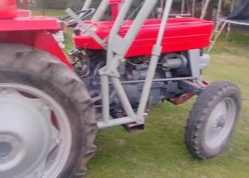 Sprzedam MF 135