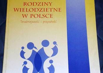 Rodziny wielodzietne w Polsce - Bożena Balcerzak-Pardowska