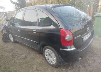 Citrone Xara picasso