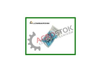 Popychacz hydrauliczny lombardini pronar mtz 320