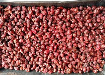 Sprzedam suchą dziką róże -owoc ekologiczny