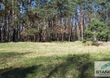 Oferta sprzedaży gruntu Wysoka Kamieńska 714m