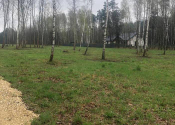 Grunt Duży Dół 1100m