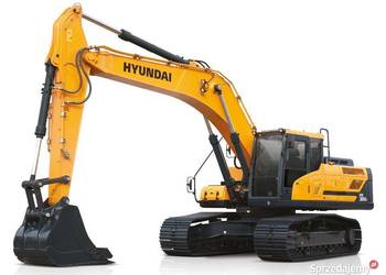HYUNDAI HX HW HL HA Adblue SCR DPF EGR Naprawa Usunięcie