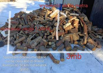 Sprzedam drzewo mieszane