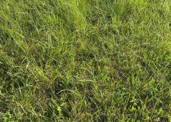 Oferta sprzedaży gruntu Dębki 300m2