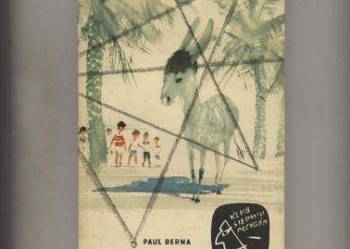 Rycerze Złotego Runa - Berna