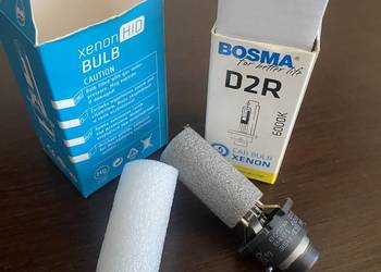 Żarówki bosma D2