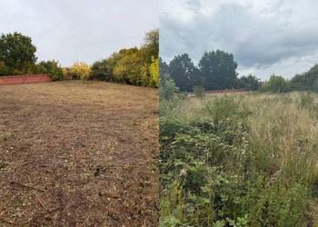 ZIEMIA OGRODOWA MULCZER Mulczowanie Karczowanie Wycinka Lasów Drzew