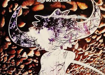 Polecam Album CD JAMIROQUAI – Album Synkronized Cd