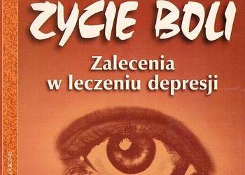 Kiedy Życie Boli Zalecenia W Leczeniu Depresji - Yapko Michael Kiedy Życie Boli Zalecenia W Leczeniu Depresji - Yapko Michael