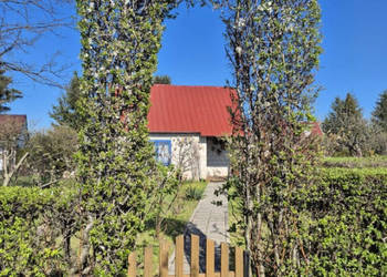 Działka ROD Mickiewicza