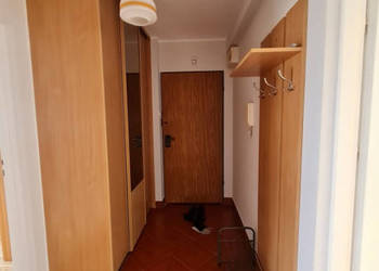 Mieszkanie do wynajecia Krakow, Radzikowskiego