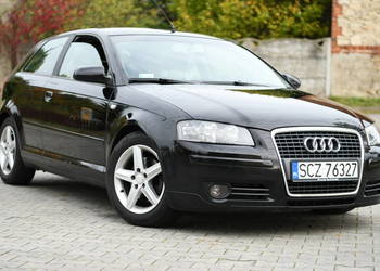 Audi A3 8P 1.6 MPI 102 konie