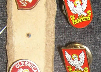 przypinka pinsa vintage herb miasta Oleśnica_Dd