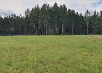 Działka budowlana w otulinie lasu zalew Siemianówka