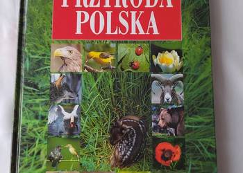 PRZYRODA POLSKA – Knaflewska Siemionowicz