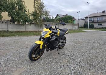 Kawasaki ER-6n (ER650E) – Żółty / Czarny (Kategoria A2)