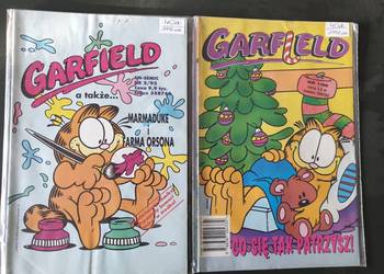 Garfield - 2 komiksy