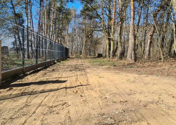 Las za oknem, projekt w ręku – działka gotowa do budowy