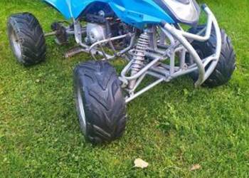 Quad Bashan 110 1+1