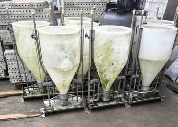 Tubomat, karmnik dla świń, automat paszowy