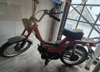 Motorynka zarejestrowana