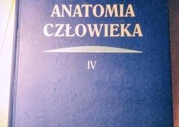 Anatomia człowieka, autorzy Adam Bochenek, Michał Reicher Tom IV