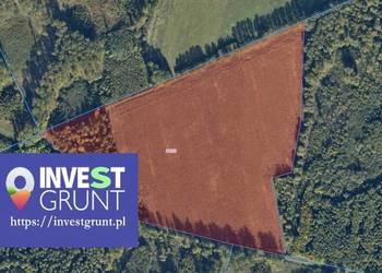 [14,84 ha] przetarg na dzierżawę gruntów rolnych