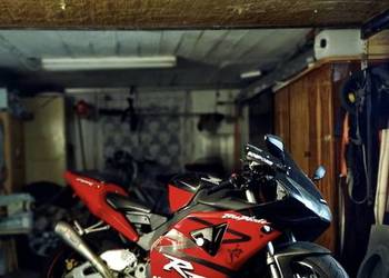 Honda Fireblade 954 RR