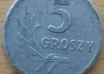 POLSKA-5 GROSZY-1961 r