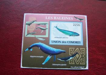 Komory 2009 MNH Wieloryb #2