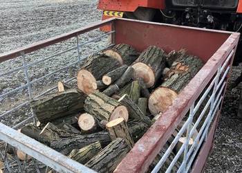 Przyczepka zawieszana (bidka)