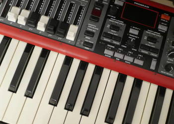 Lekcje gry na pianinie keyboard akordeonie zajęcia z muzyki