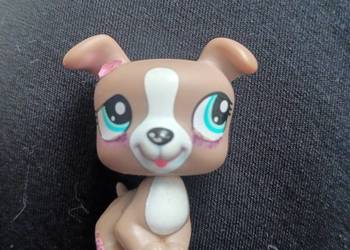 LPS