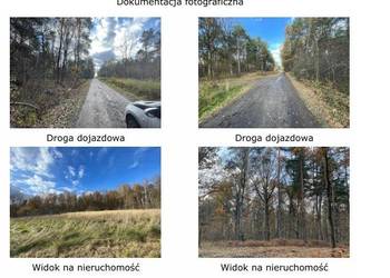 Syndyk sprzeda nieruchomość gruntową