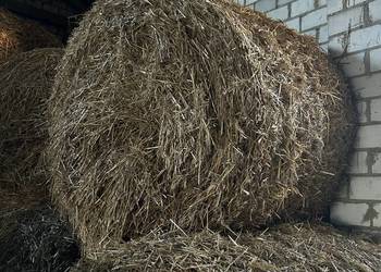 Słoma baloty słoma w balotach garażowana