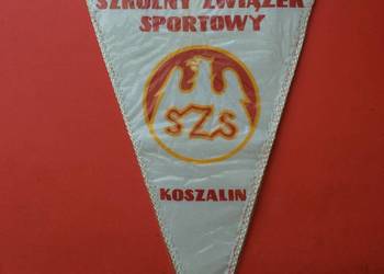( 287 ) Proporczyk Szkolny Związek Sportowy