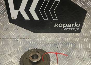 Koło zębate wałka rozrządu Leyland 4/98