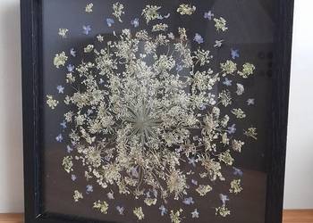 Obraz Kwiatowy Kompozycja ''Niezapominajki w towarzystwie '' Dekoracja D