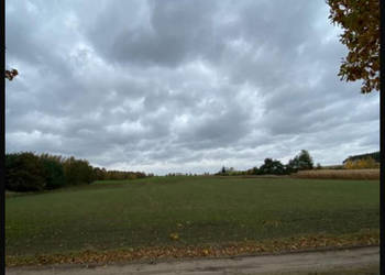 Ziemia Orna 1,5ha