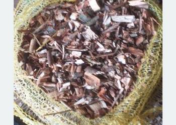 Zrębki wierzby energetycznej