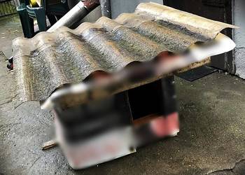 Buda dla zwierzęcia