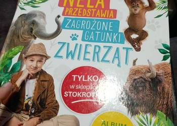 Nela przedstawia zagrożone gatunki zwierząt stokrotka