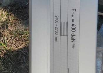 Bеlka rozporowa naburtowa