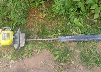 Spalinowe nozyce do żywopłotu Ryobi