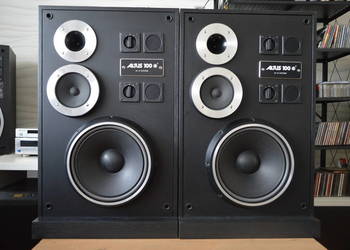 Altus 100 Eksportowe HGS Electronic Po Renowacji Idealne Wysyłka