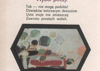 WYBÓR POEZJI - BRUCZ STANISŁAW