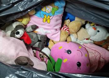 Mix pluszaków i poduszeczek