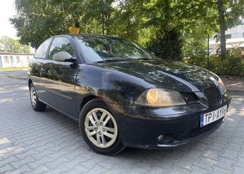 Seat Ibiza 1.9TDI 130KM 2004